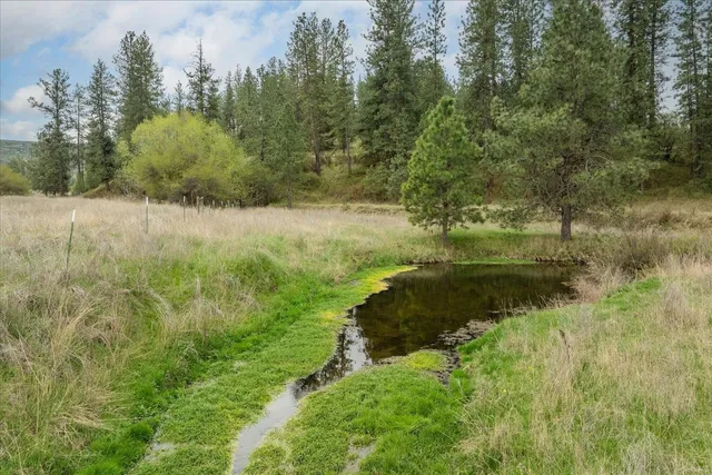 $120,000 | -xxx Fisher Road East, Unit LOT 6, Davenport, WA 99122