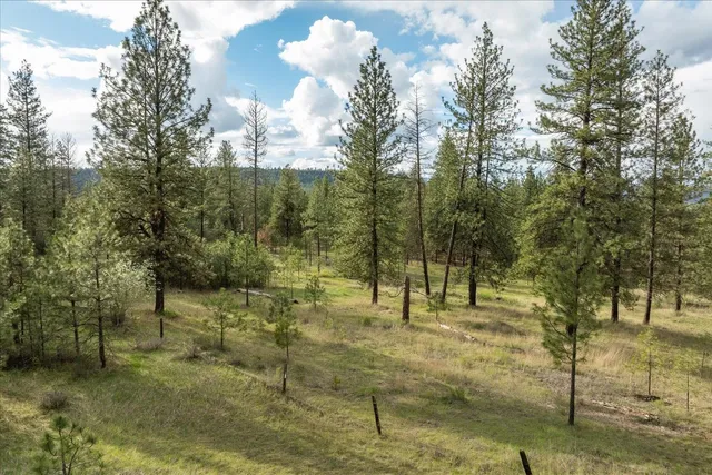 $120,000 | -xxx Fisher Road East, Unit LOT 6, Davenport, WA 99122