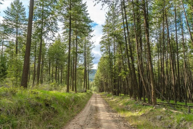 $120,000 | -xxx Fisher Road East, Unit LOT 6, Davenport, WA 99122