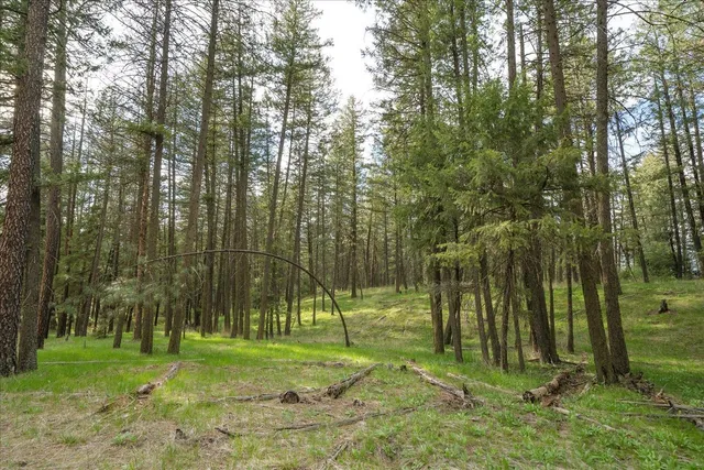 $120,000 | -xxx Fisher Road East, Unit LOT 6, Davenport, WA 99122