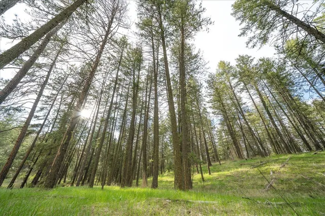 $120,000 | -xxx Fisher Road East, Unit LOT 6, Davenport, WA 99122