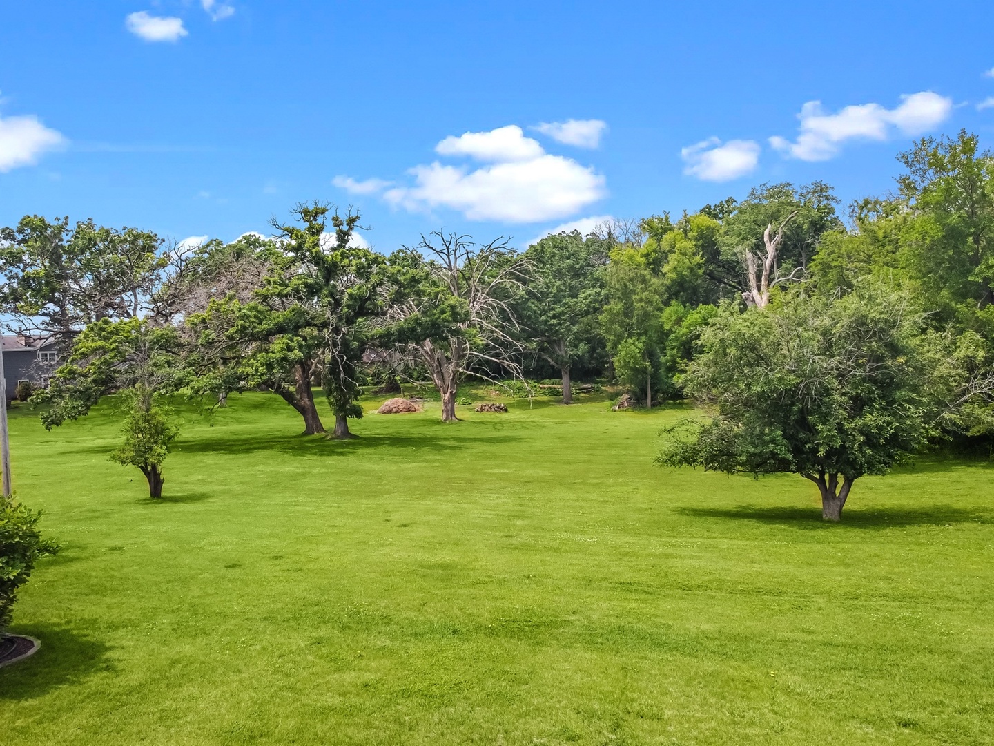 8612 Crystal Springs Road Woodstock, IL 60098 - Photo 39 of 45 a view of yard with grass and a trees