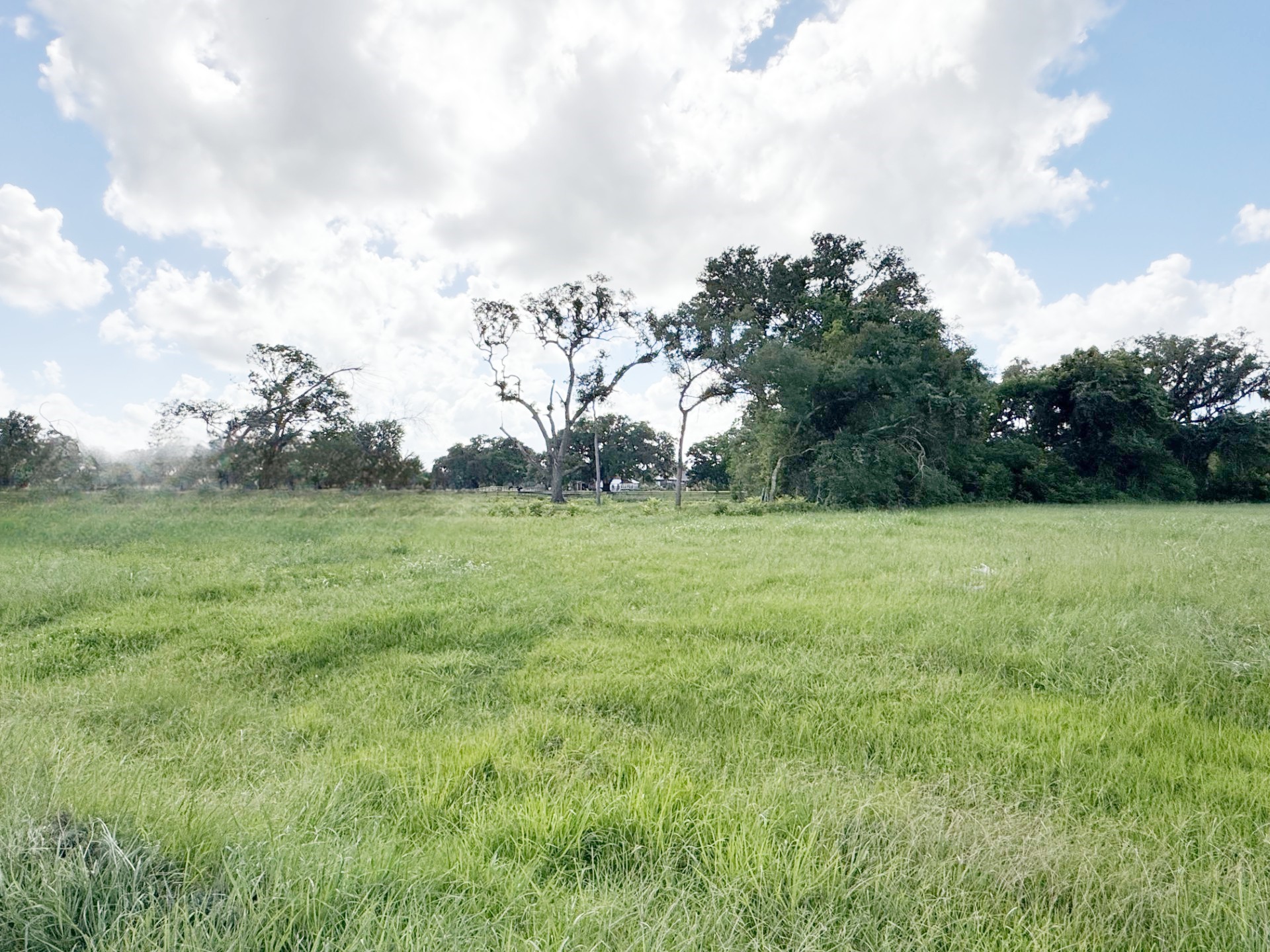 1044 Winchester Trail Angleton, TX 77515 - Photo 3 of 6