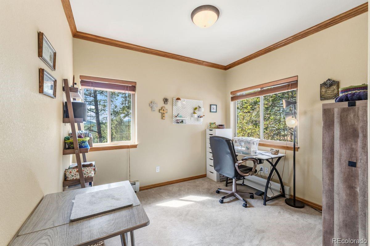 163 Old Corral Road Bailey, CO 80421 - Photo 36 of 50 Gallery Image 36