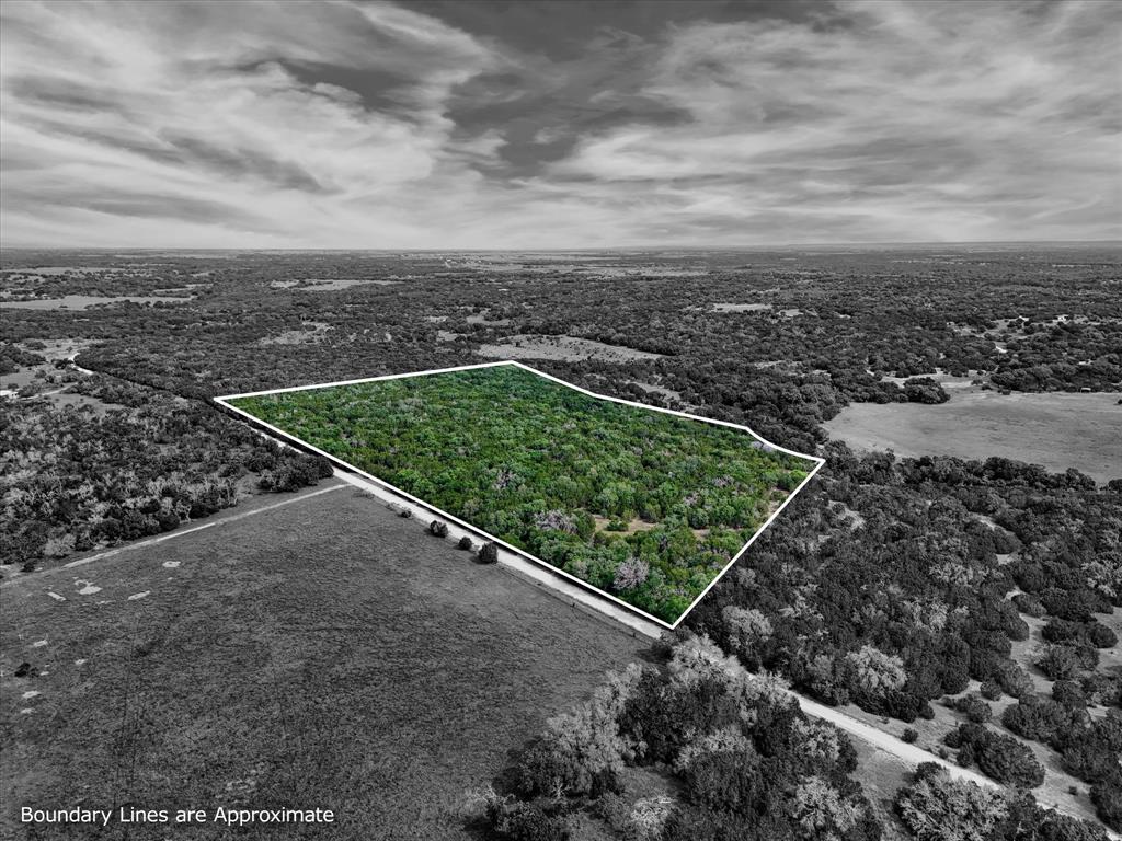 an aerial view of a forest