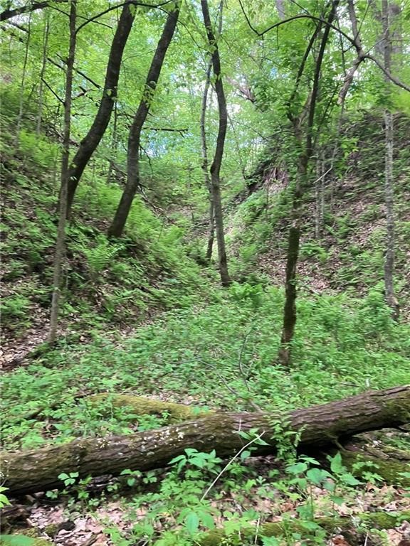 N3953-201 Bear Pen Road Arkansaw, WI 54721 - Photo 19 of 43