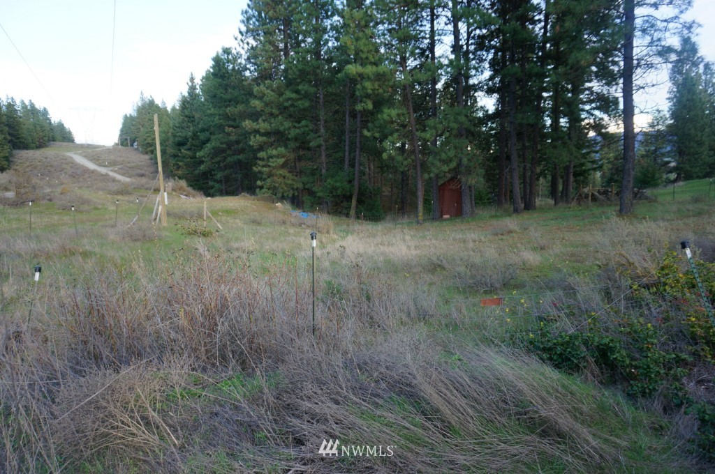 1250 White Road Cle Elum, WA 98922 - Photo 1 of 12 Gallery Image 1