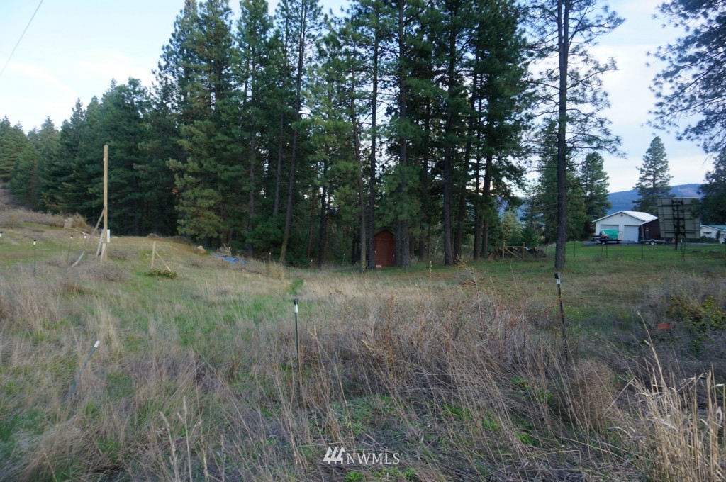 1250 White Road Cle Elum, WA 98922 - Photo 2 of 12 Gallery Image 2