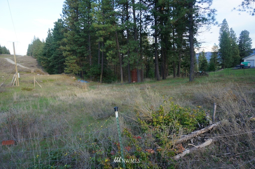 1250 White Road Cle Elum, WA 98922 - Photo 11 of 12 Gallery Image 11