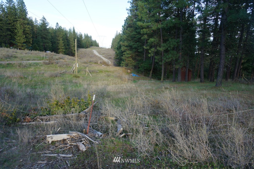 1250 White Road Cle Elum, WA 98922 - Photo 12 of 12 Gallery Image 12