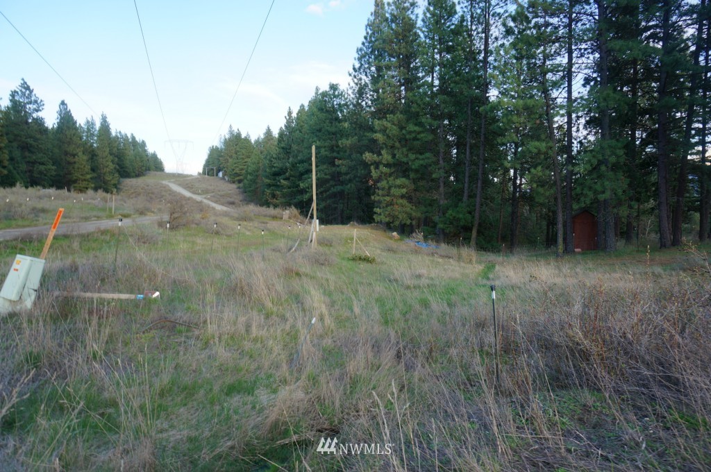 1250 White Road Cle Elum, WA 98922 - Photo 3 of 12 Gallery Image 3