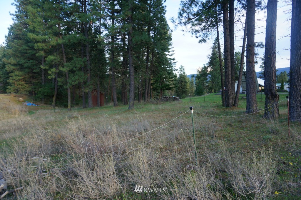 1250 White Road Cle Elum, WA 98922 - Photo 4 of 12 Gallery Image 4