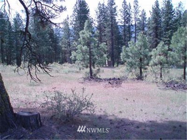 1250 White Road Cle Elum, WA 98922 - Photo 6 of 12 Gallery Image 6