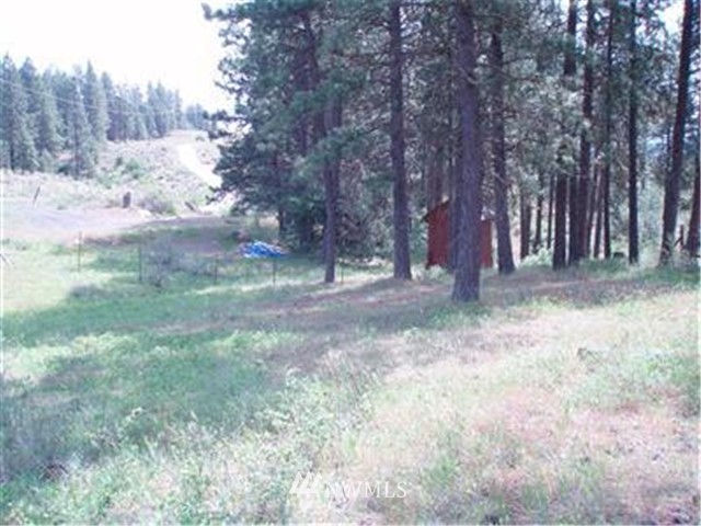 1250 White Road Cle Elum, WA 98922 - Photo 7 of 12 Gallery Image 7