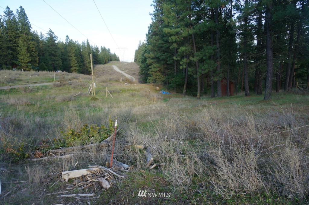 1250 White Road Cle Elum, WA 98922 - Photo 8 of 12 Gallery Image 8