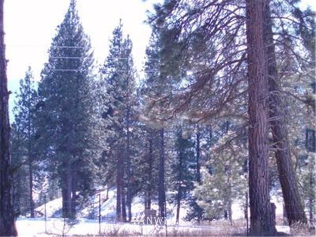 1250 White Road Cle Elum, WA 98922 - Photo 9 of 12 Gallery Image 9