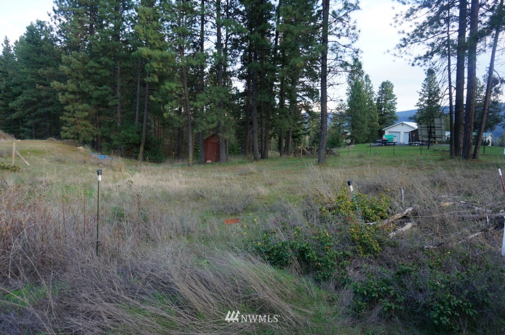 1250 White Road Cle Elum, WA 98922 - Photo 10 of 12 Gallery Image 10