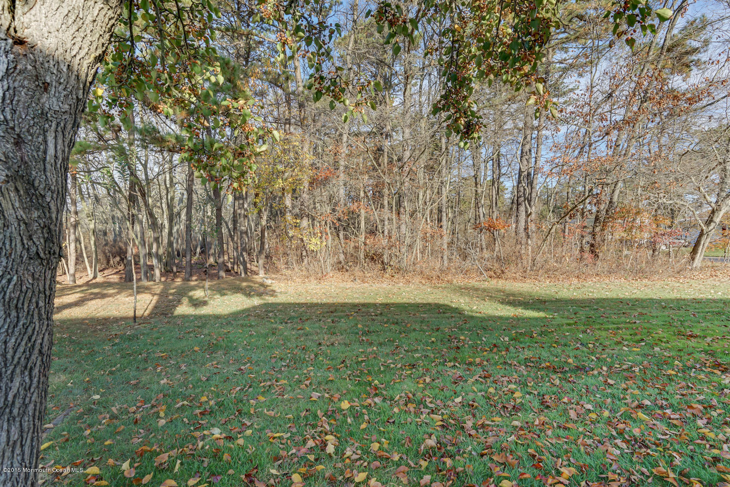 50 Augusta Road, Unit 73 Whiting, NJ 08759 - Photo 34 of 34 50 Augusta (34)
