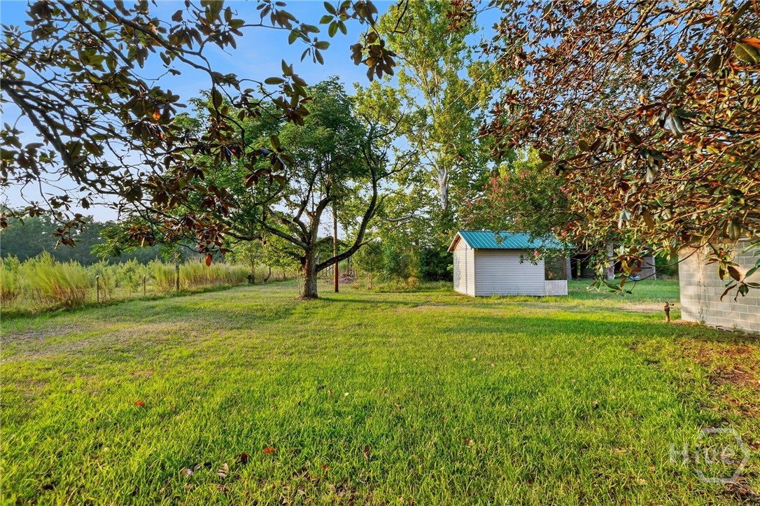 4115 Seed Tick Road Ellabell, GA 31308 - Photo 34 of 45 Gallery Image 34