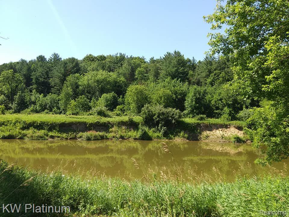 3057 Vincent Road North Street, MI 48049 - Photo 2 of 31 BLACK RIVER