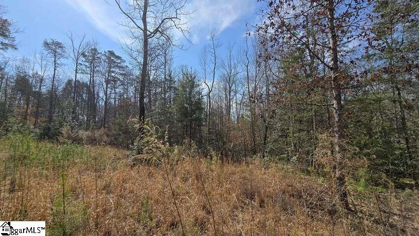 0 Hamilton Road Marietta, SC 29661 - Photo 4 of 6