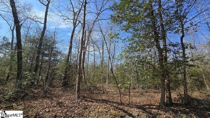 0 Hamilton Road Marietta, SC 29661 - Photo 5 of 6