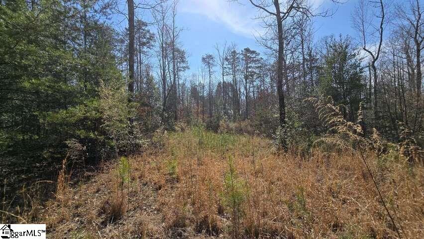 0 Hamilton Road Marietta, SC 29661 - Photo 6 of 6