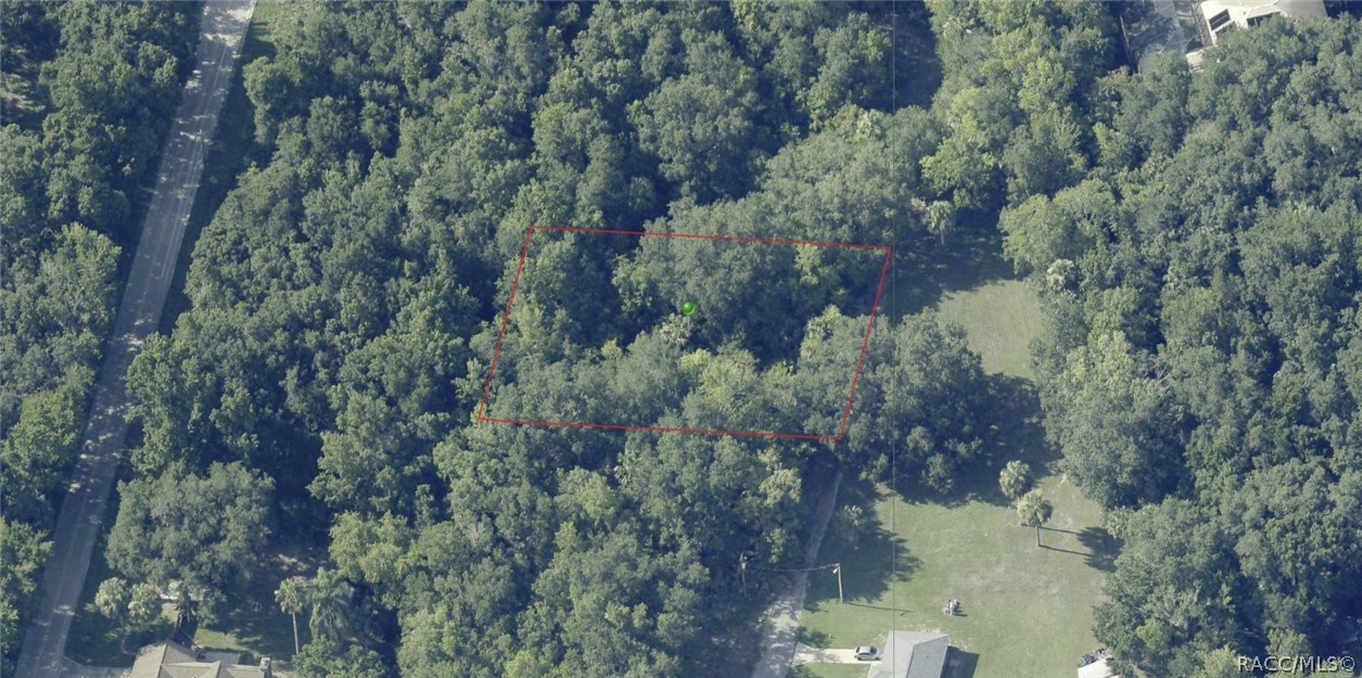 384 North Staff Point Inverness, FL 34450 - Photo 7 of 13