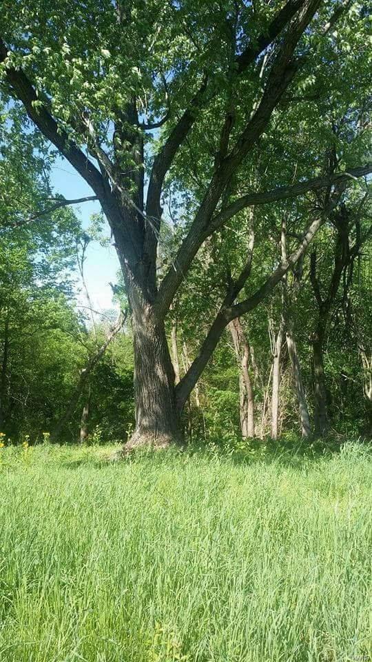 0 Concordia Road Belleville, IL 62223 - Photo 2 of 3 Gallery Image 2
