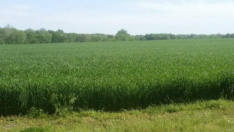 0 Concordia Road Belleville, IL 62223 - Photo 3 of 3 Gallery Image 3