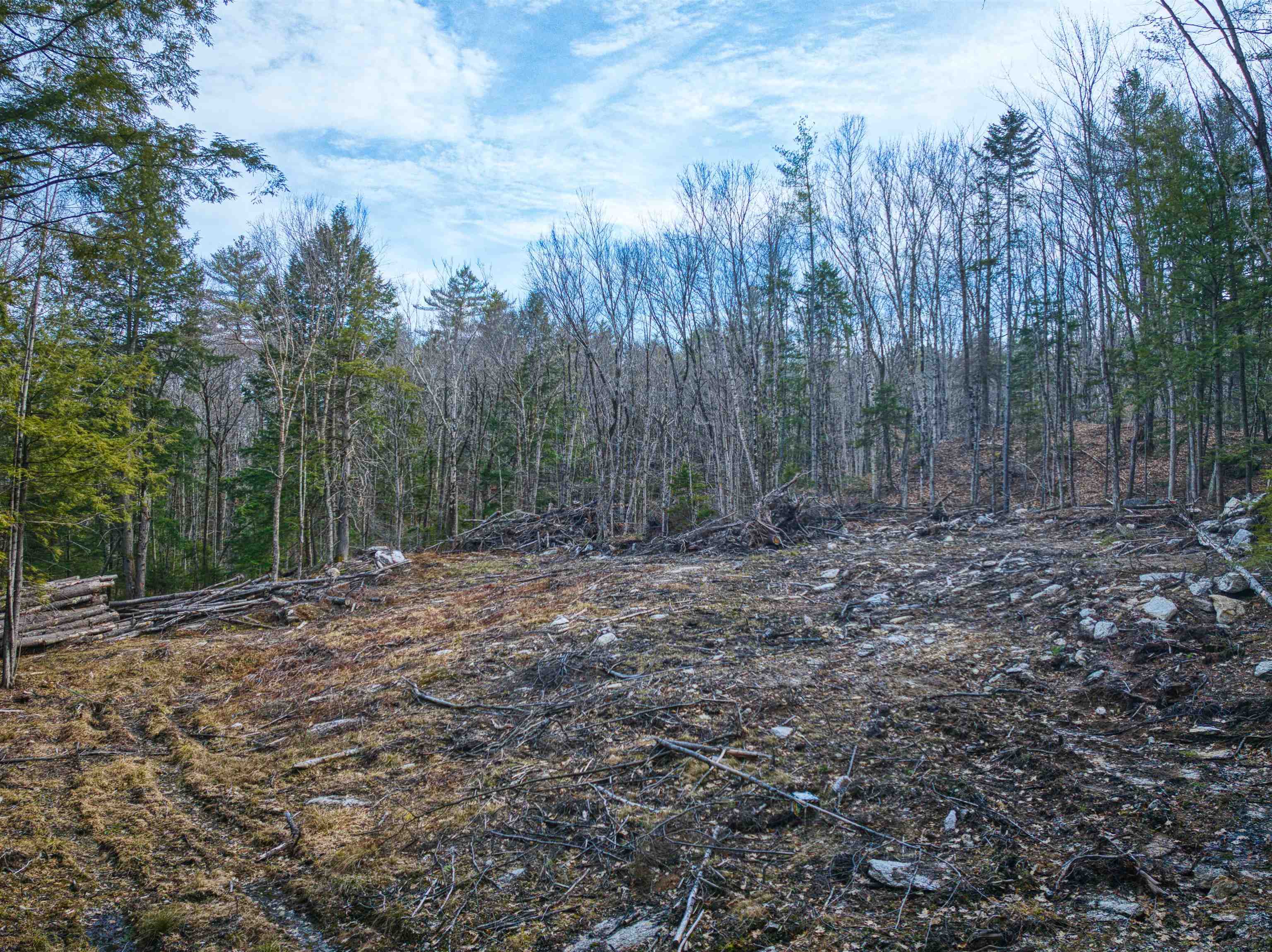 0 Hominy Pot Road Bradford, NH 03221 - Photo 4 of 11