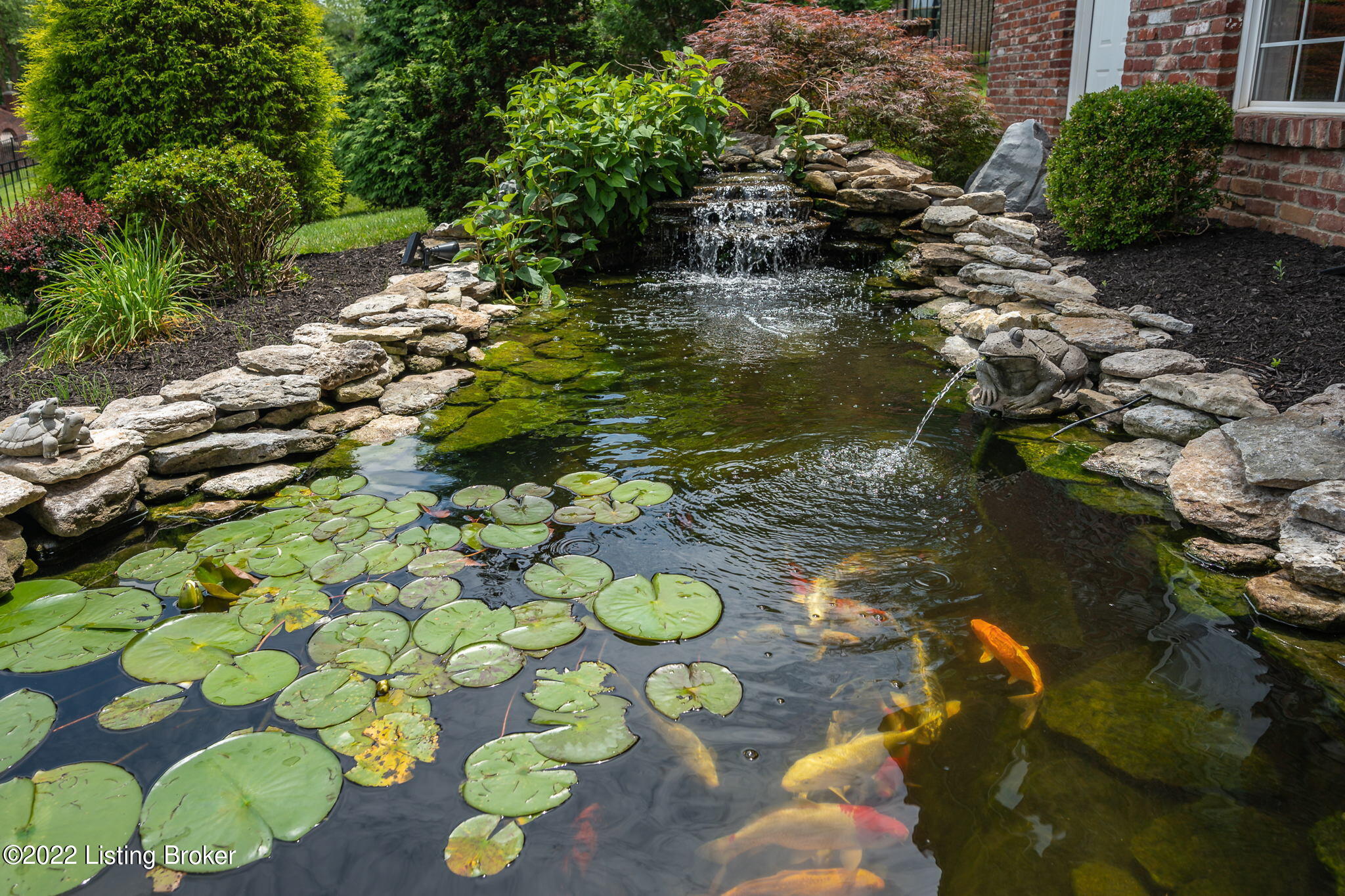 13203 Ridgemoor Drive Prospect, KY 40059 - Photo 66 of 76 Koi Pond