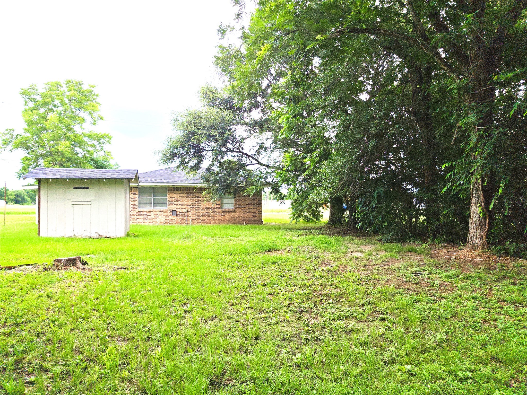 107 Cypress Street Trinity, TX 75862 - Photo 6 of 8 Spacious Yard.