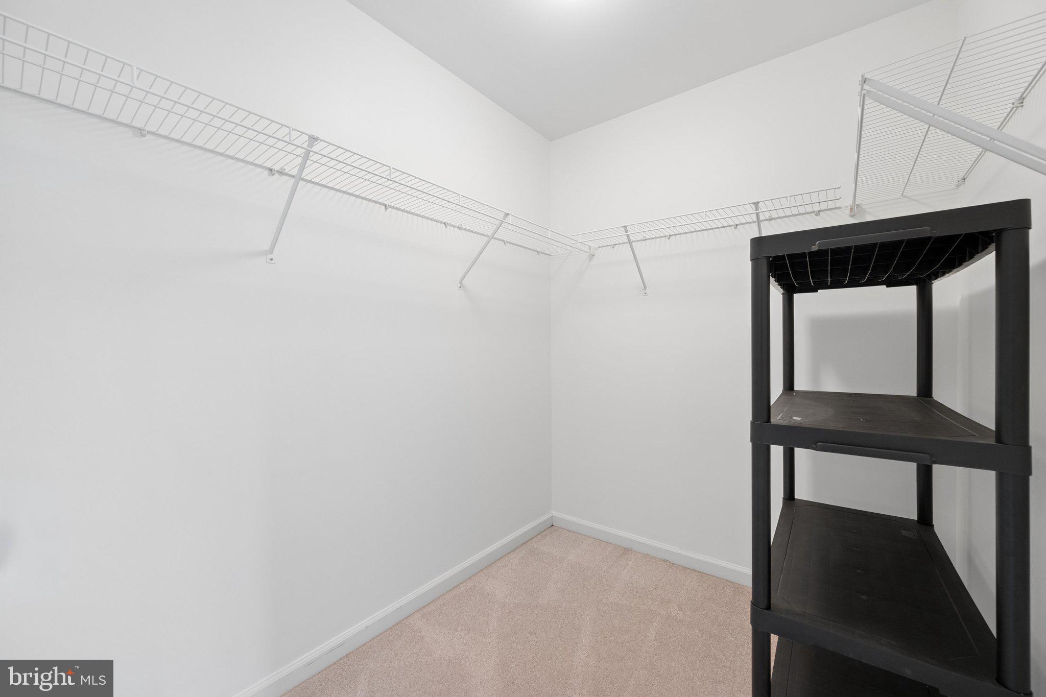 2605 Mill Race Road Frederick, MD 21701 - Photo 65 of 125 Walk in Closet