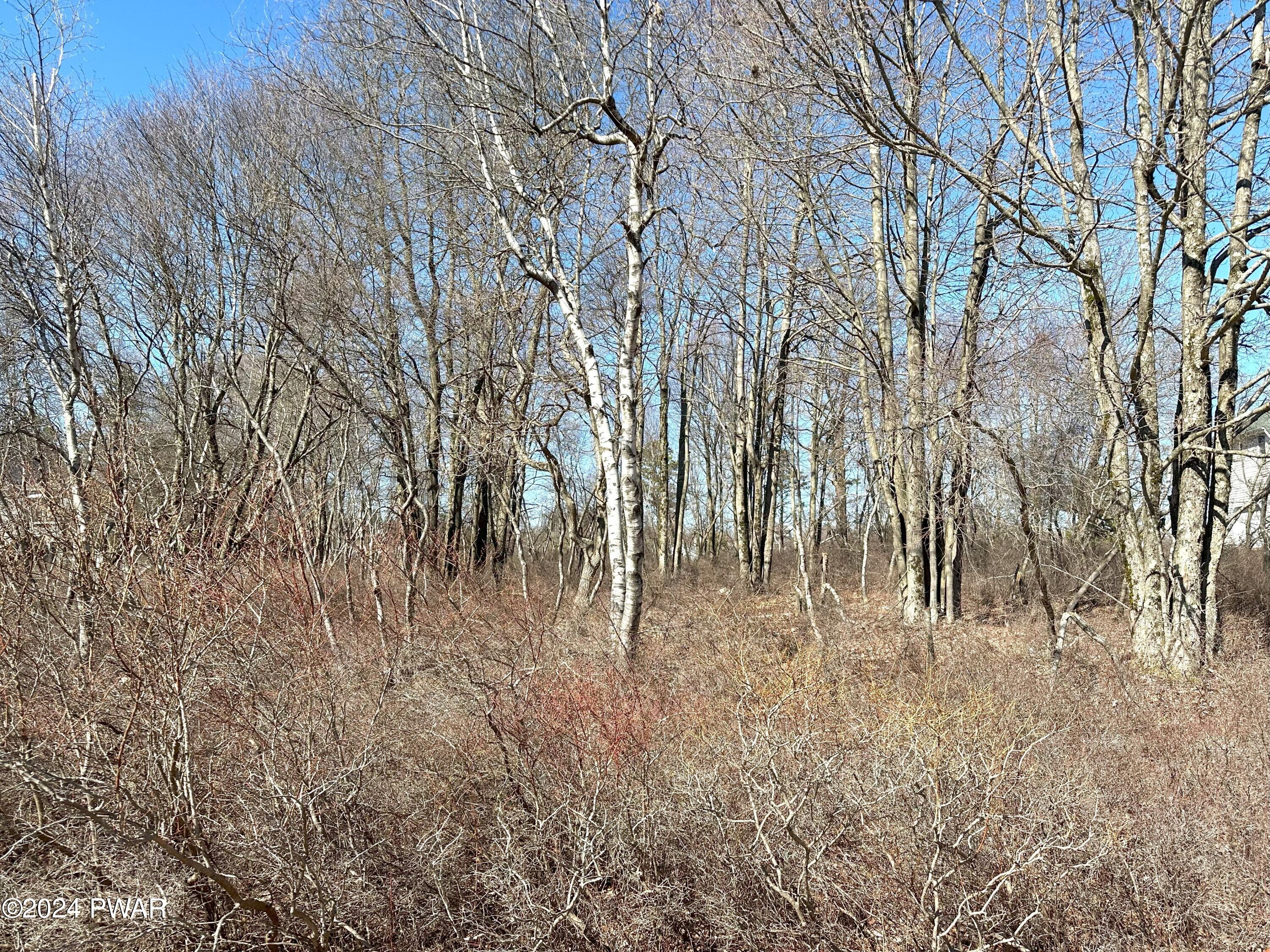 Beaver Dam Road Long Pond, PA 18334 - Photo 12 of 13