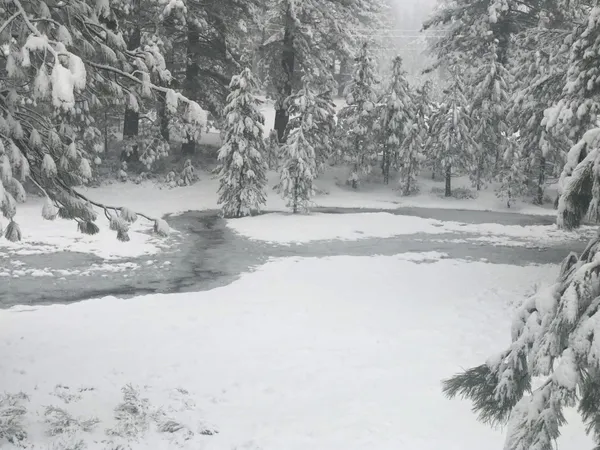 $385,000 | 10100 Pioneer Trail, Unit 101, Truckee, CA 96161