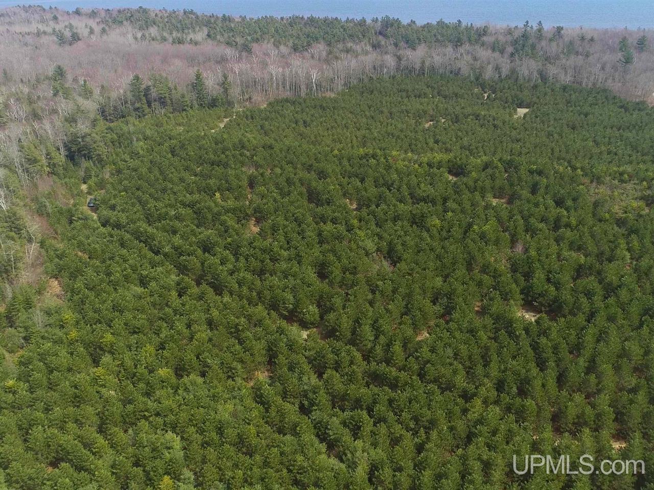 40-acres Gierke Road Manistique, MI 49854 - Photo 23 of 39