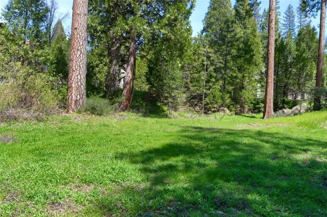 a big yard with lots of green space and trees