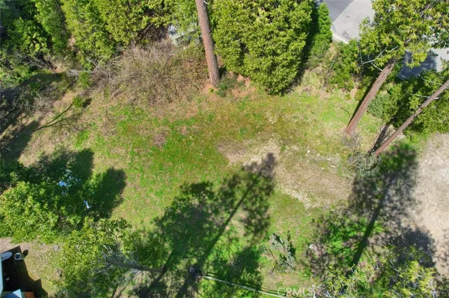 a view of a yard with plants and a fountain