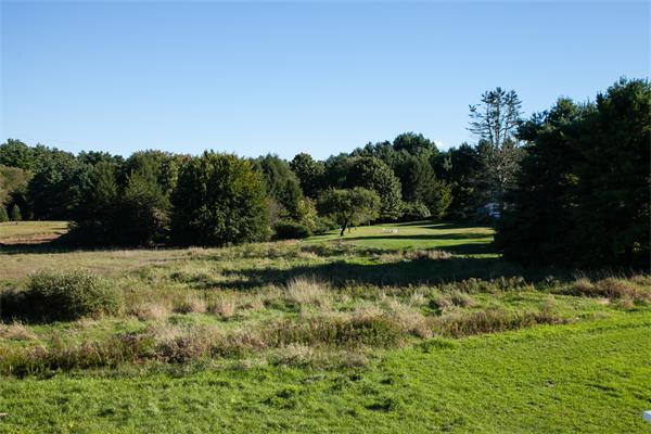 389 Pope Road Concord, MA 01742 - Photo 16 of 17 a view of a lake with a bench and trees in the background