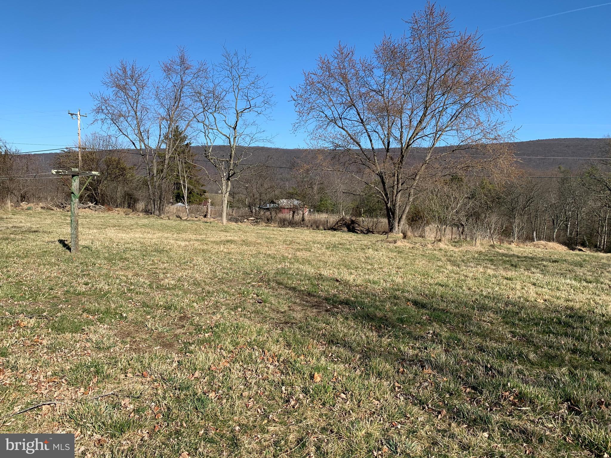 11169 Winchester Grade Road Berkeley Springs, WV 25411 - Photo 12 of 28 West side of the property