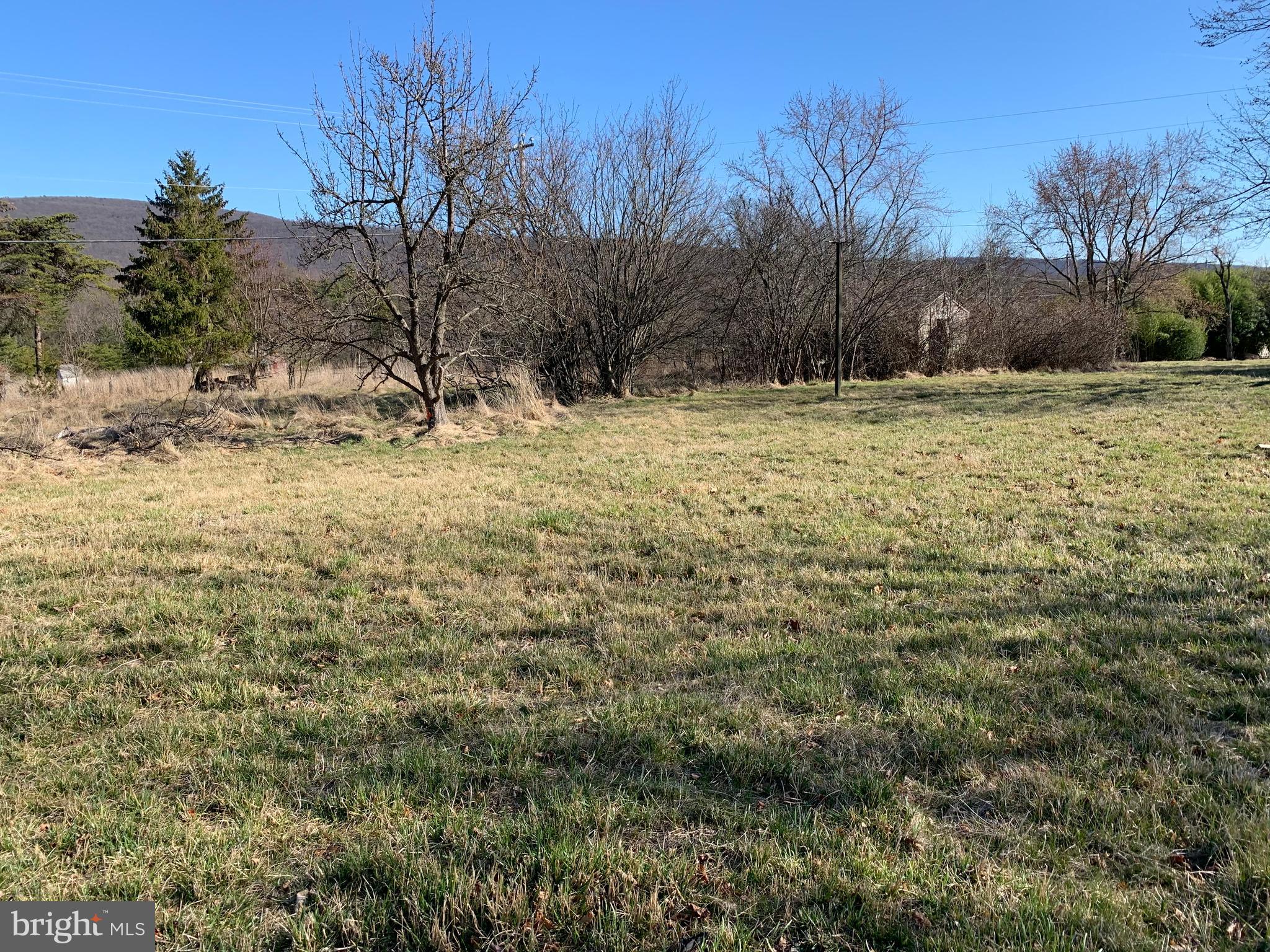 11169 Winchester Grade Road Berkeley Springs, WV 25411 - Photo 16 of 28 East side of the property