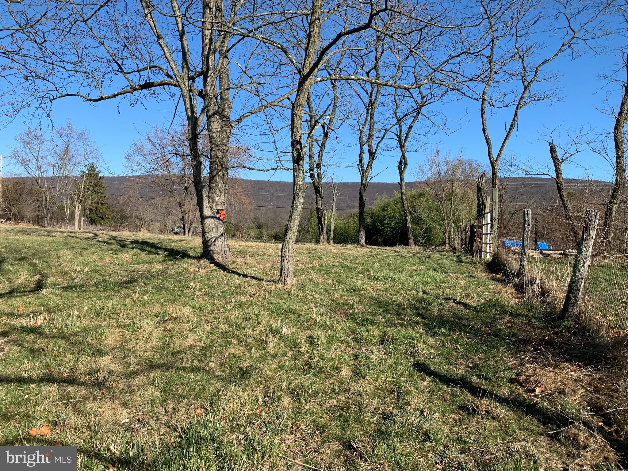 11169 Winchester Grade Road Berkeley Springs, WV 25411 - Photo 28 of 28 South side property line looking West to East
