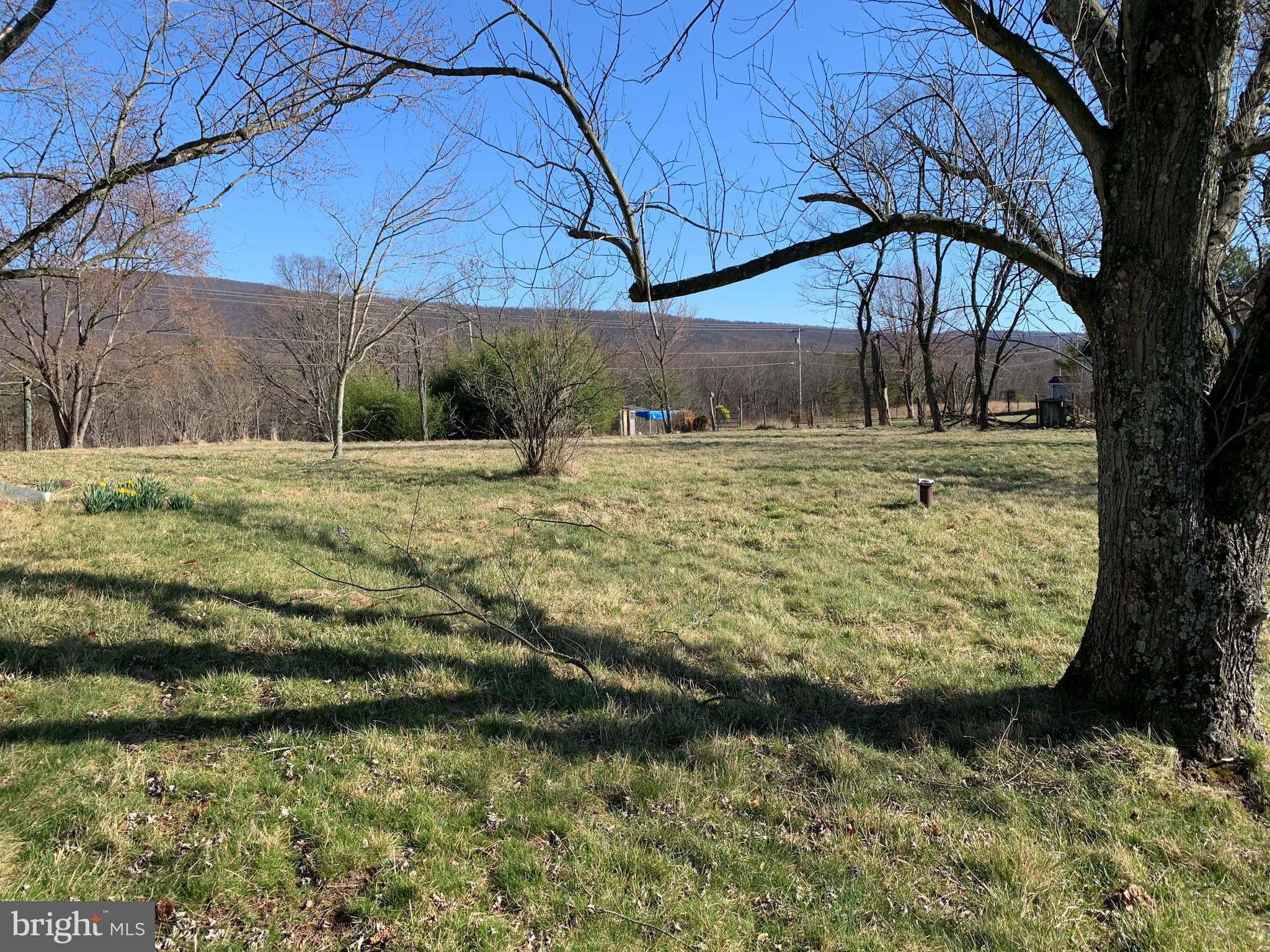 11169 Winchester Grade Road Berkeley Springs, WV 25411 - Photo 6 of 28 South side of property mountain views