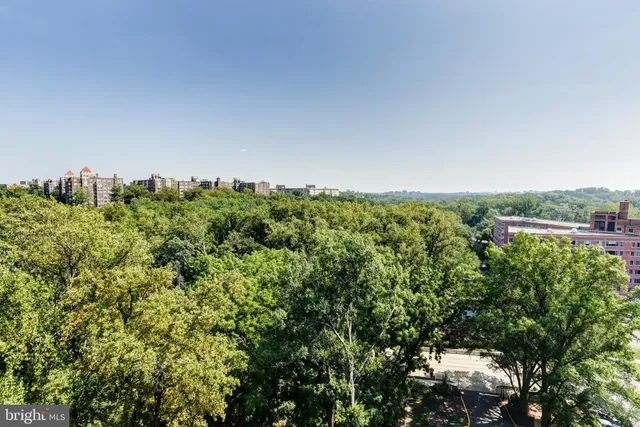 a view of a green field