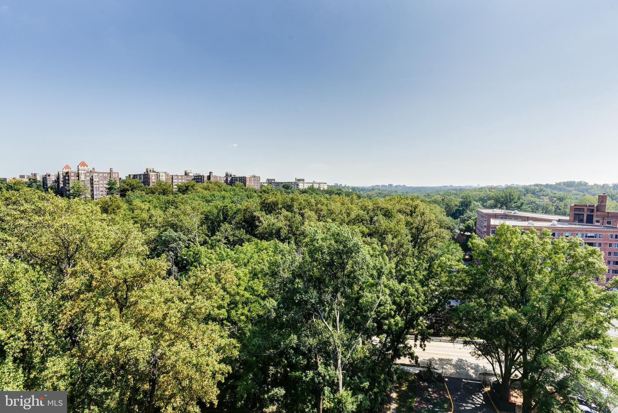 4201 Cathedral Avenue Northwest, Unit 1411E Washington, DC 20016 - Photo 2 of 66 a view of a green field