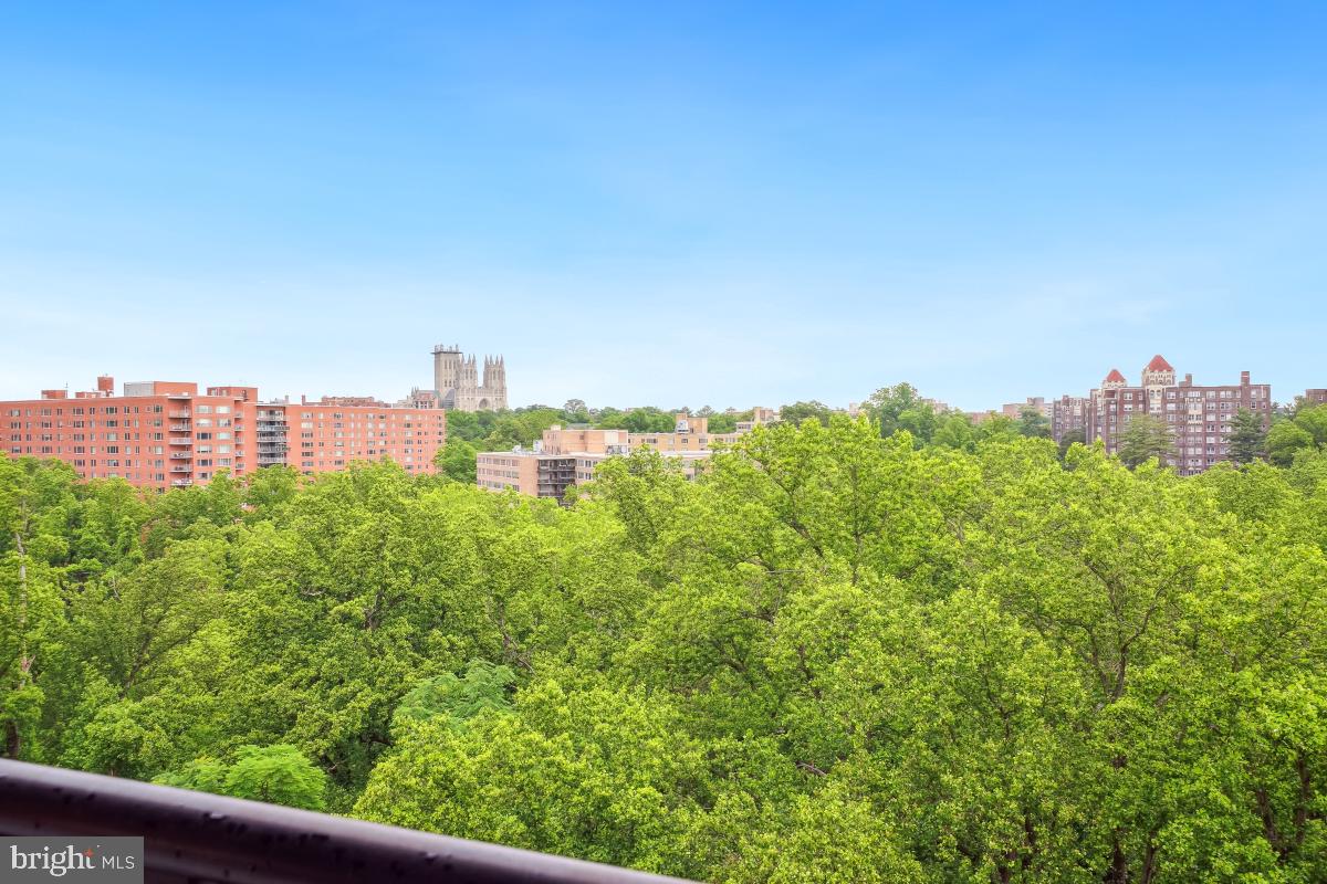 4201 Cathedral Avenue Northwest, Unit 1411E Washington, DC 20016 - Photo 3 of 66 Million Dollar View