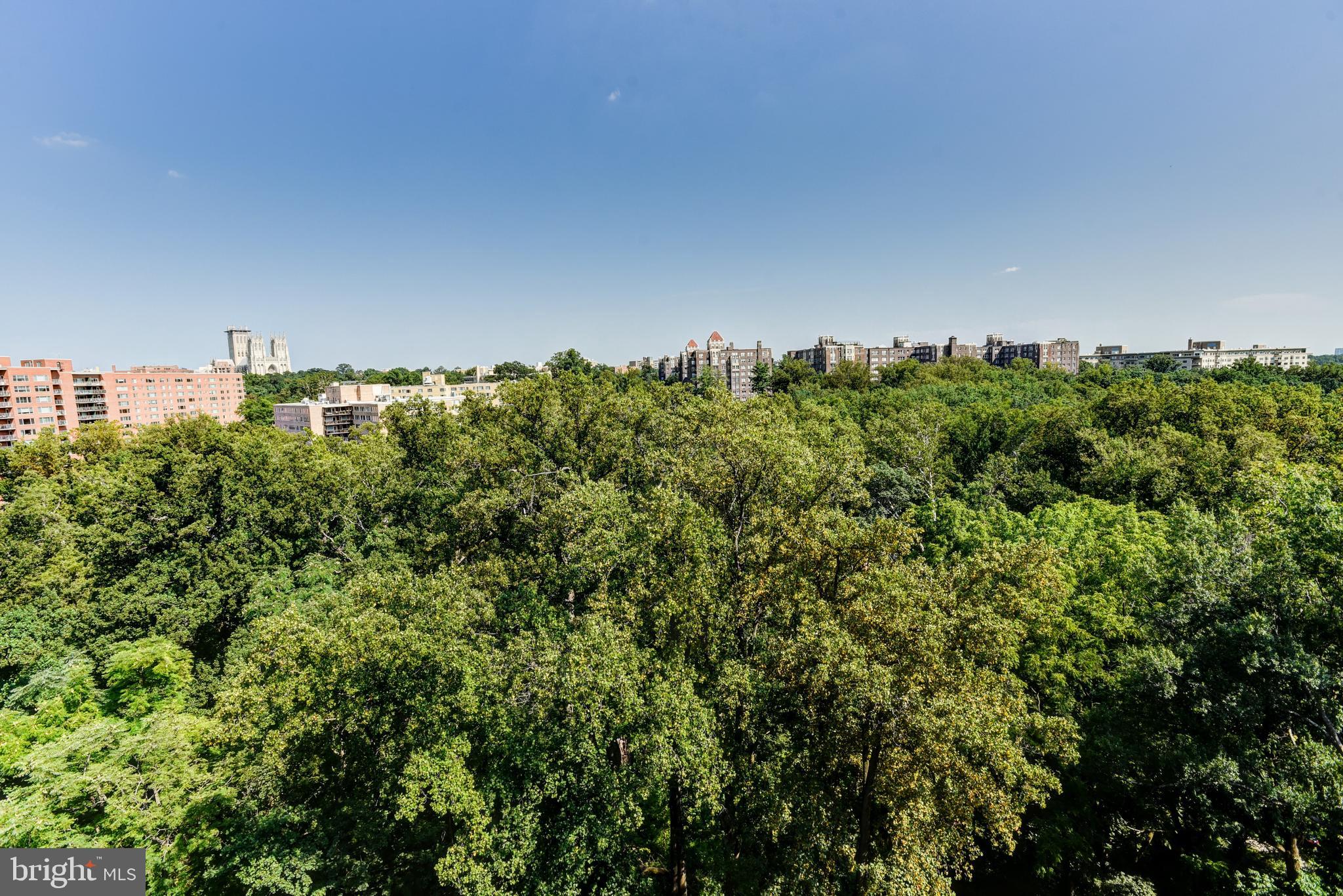4201 Cathedral Avenue Northwest, Unit 1411E Washington, DC 20016 - Photo 43 of 66 a view of a large garden