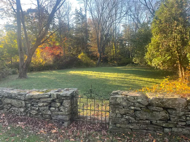 a view of a yard with an outdoor space