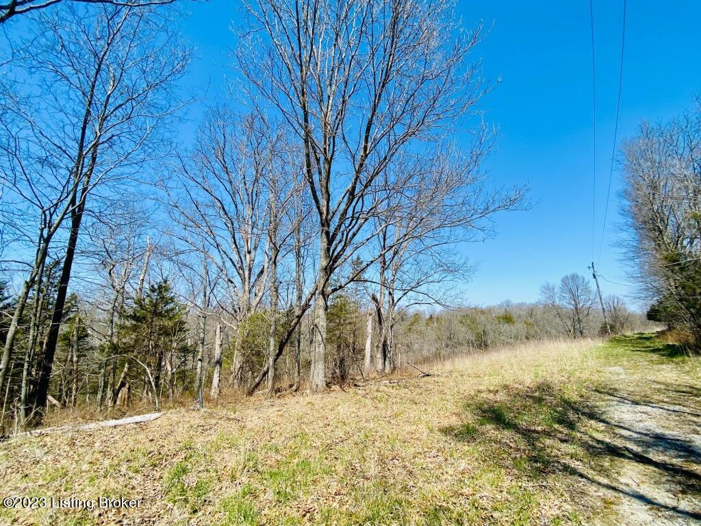 2723 Tatum Ridge Road Willisburg, KY 40078 - Photo 38 of 42 038_79791101